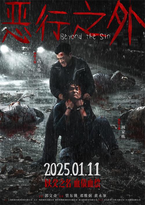 1734878226820838.jpg 1恶行之外海报.jpg